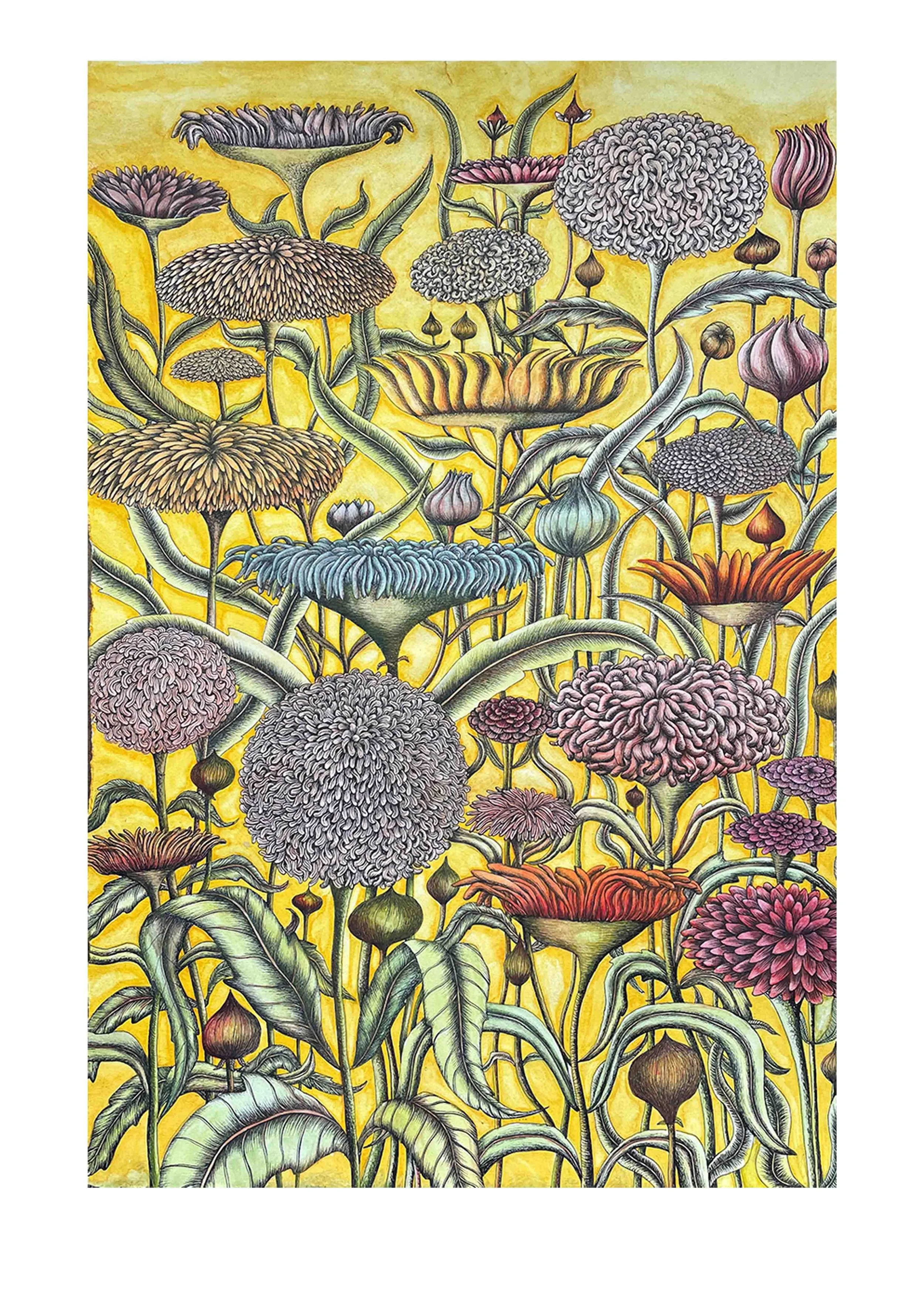 NZ Art Prints for Sale | Limited Edition Giclee Prints by Sue Syme